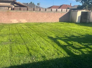 Christine S.'s turf care service result