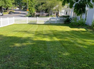 Paula S.'s grass cutting service result