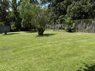 Seth P.'s turf care service result