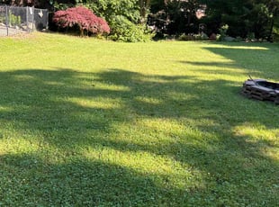 Harold D.'s lawn maintenance service result