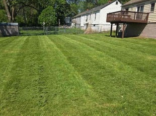 Latrice P.'s lawn care services service result