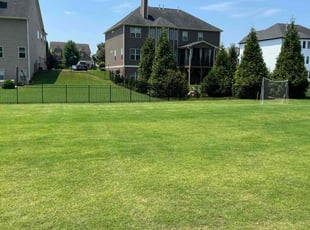 Terry D.'s turf care service result