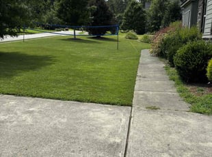 Crystal M.'s turf maintenance service result