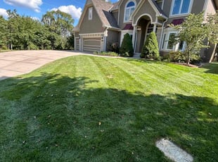 Robert S.'s lawn care service result