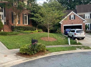 Michael C.'s grass cutting service result