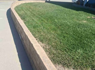 Kira H.'s lawn maintenance service result