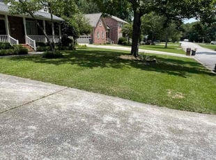 Ryan G.'s lawn service service result