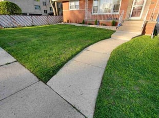 Laura B.'s grass maintenance service result