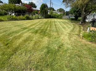 John K.'s grass cutting service result
