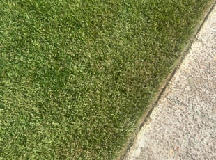 Tj B.'s lawn maintenance service result
