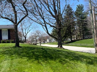 Susan K.'s turf maintenance service result