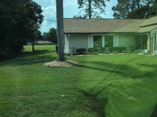 Marylynn M.'s lawn care service result