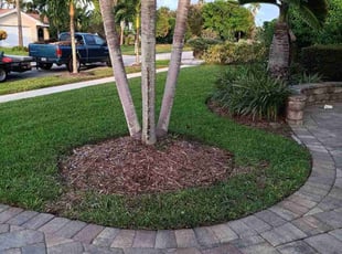 Evelyn S.'s lawn maintenance service result