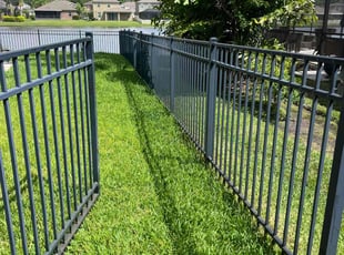 Carol W.'s lawn service service result
