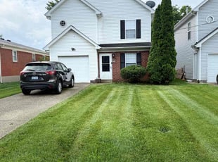 Cyle L.'s grass maintenance service result