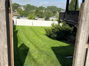 Tricia H.'s turf maintenance service result