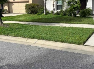 Hiep P.'s grass maintenance service result