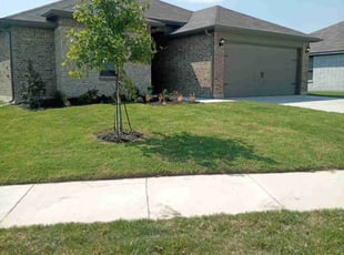 Anthony R.'s lawn care services service result