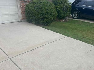 Niki G.'s Bush Trimming service result