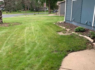 Jacob S.'s turf care service result