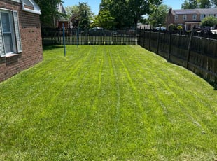 Maurice M.'s grass maintenance service result
