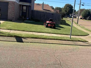 Stephanie D.'s lawn care service result