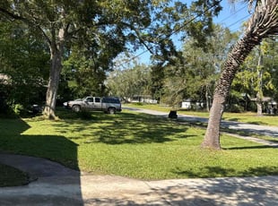 Eileen M.'s turf care service result
