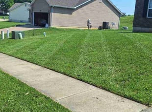 Vince W.'s turf maintenance service result