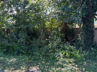 Lisa P.'s Bush Trimming service result