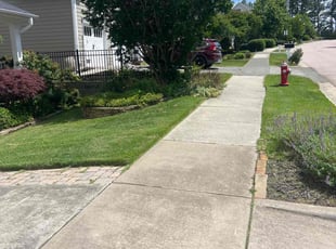 Kassandra D.'s lawn service service result