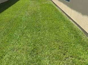 Gus G.'s lawn care service result