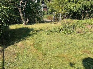 Sharon C.'s lawn maintenance service result
