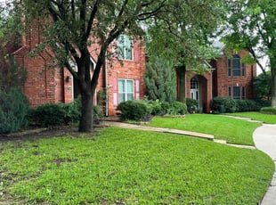 Kate V.'s grass cutting service result