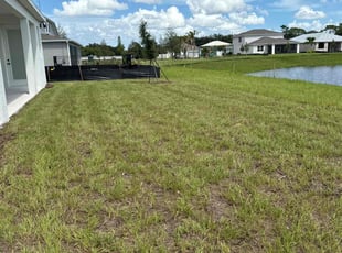 Yining W.'s lawn care service result