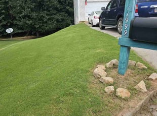 Johnathan B.'s lawn service service result