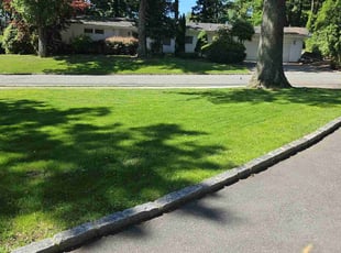 Sheila V.'s lawn care service result