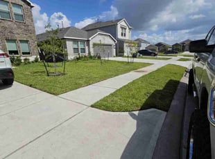 Brittany T.'s grass cutting service result