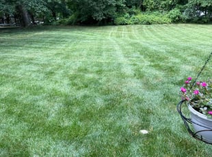 Shameika A.'s lawn care services service result