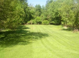Samuel b.'s lawn care service result