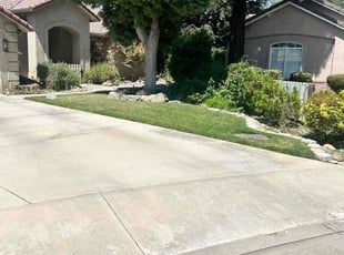 Sydney B.'s turf maintenance service result