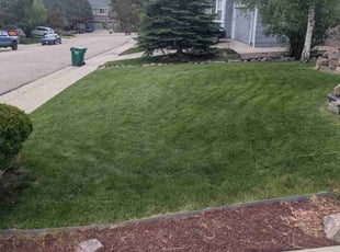 Daniel R.'s turf maintenance service result