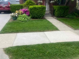 Leah W.'s grass cutting service result