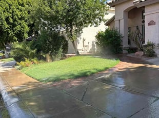 Tanya J.'s turf maintenance service result
