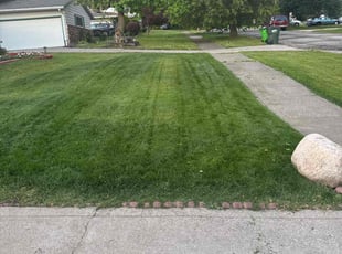 Tanya R.'s grass maintenance service result
