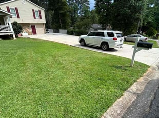 Susan S.'s turf care service result