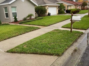 Dona L.'s landscaping service result
