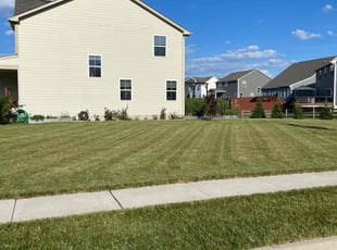 Justin C.'s grass cutting service result