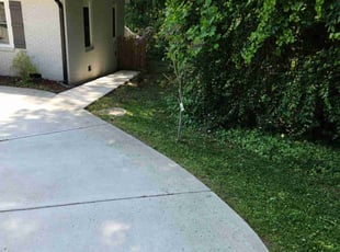 Sam H.'s lawn maintenance service result