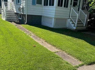 Daniele B.'s grass cutting service result