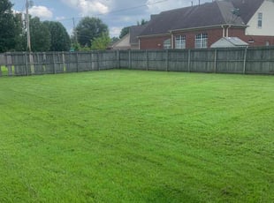 Jessica M.'s turf maintenance service result